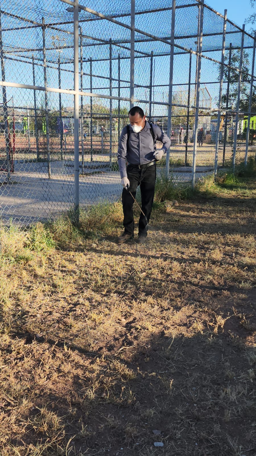 Aplicacion de servicio de fumigacion 2